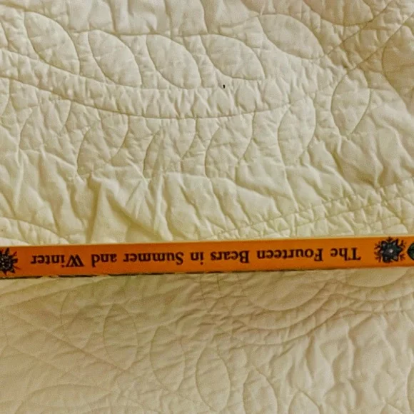 The Fourteen Bears in Summer and Winter first edition 1973 - Picture 12 of 13